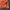 Leaves Strawberry Jacket Orange Blossom Floral Jacket photo 5