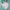 Coat winter jacket anntaylor lift goose down bulu angsa pink photo 7