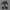 Sepatu Sepeda Santic Men Cycling Non Cleat Appolo 2 RoadBike photo 6