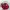 Vintage Streetwear Hat Pria red black photo 4