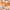 Converse Chuck Taylor All Star Pink Salmon White