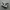 comverse high photo 1