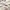 GAP Streetwear Hoody Pria gray photo 3