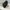  christian dior black saddle bag photo 2
