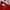 Umbro Sportswear Track jacket Pria white red photo 5