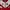 Umbro Sportswear Track jacket Pria white red photo 3