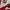 Umbro Sportswear Track jacket Pria white red photo 6
