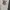 Sportswear Track jacket Pria white black photo 4
