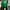 Sportswear Jersey Wanita Green