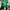 Sportswear Jersey Wanita Green