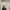 Sweater Black | Sweater for school  photo 1
