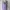 Dress Knit Lilac