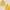 Hoodie Nike Swooosh Kuning Mustard Bordir Logo 