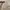 no brand crop beige cuteee photo 3