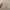 no brand crop beige cuteee photo 2