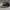 Topi Vintage US Navy Scrambled Big Script  photo 2