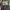 Longchamp Bag Green Series Size M  photo 1