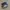NIKE X SACAI VAPORWAFFLE BLACK WHITE SECOND 41  photo 1