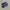 NIKE X SACAI VAPORWAFFLE BLACK WHITE SECOND 41  photo 2