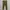 Uniqlo Celana Chinos Brown Pria photo 1
