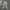 Ghost Gear Camouflage Cargo Pants Military Multipocket photo 1