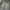 Ghost Gear Camouflage Cargo Pants Military Multipocket photo 2