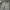 Ghost Gear Camouflage Cargo Pants Military Multipocket