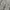 Ghost Gear Camouflage Cargo Pants Military Multipocket photo 8