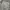 Ghost Gear Camouflage Cargo Pants Military Multipocket photo 7