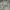 Ghost Gear Camouflage Cargo Pants Military Multipocket photo 3