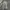 Ghost Gear Camouflage Cargo Pants Military Multipocket photo 6