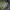 Military Camouflage Pattern Cargo Pants photo 8