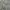 Military Camouflage Pattern Cargo Pants