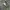 Military Camouflage Pattern Cargo Pants photo 3