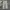 Ghost Gear Camouflage Cargo Pants Military Multipocket photo 1