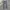 Uniqlo Longpants Camouflage Pattern photo 5