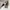 VIVASTUDIO HOODIE SMALL LOGO  photo 6