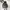 VIVASTUDIO HOODIE SMALL LOGO  photo 3