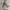 VIVASTUDIO HOODIE SMALL LOGO  photo 7