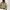 Carhartt Workwear 90s Active Jacket JR106 Brown photo 2