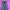 ROK LEOPARD photo 8