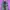 ROK LEOPARD photo 2
