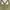 Y2k Tank Top Buttom Military Olive 2000s photo 10