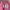 Baggy Sweatpants Sherpa Cat Pink photo 3