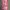 Baggy Sweatpants Sherpa Cat Pink photo 1