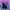 ROK LEOPARD photo 5