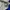 WINBREAKER JACKET ADIDAS DOUBLE LAYER photo 8