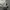 Crwneck/sweater adidas photo 7