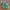 VANS Casual Sneakers Pria green photo 4