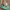 VANS Casual Sneakers Pria green photo 2